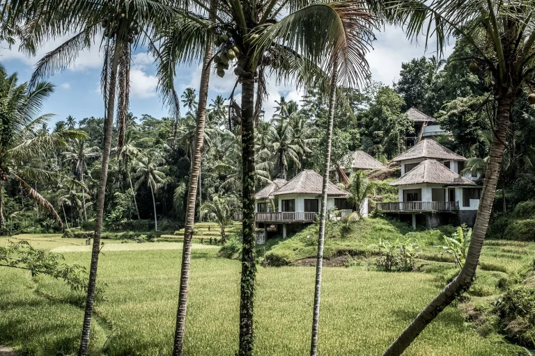 5 Important Things You Need to Know Before Buying Property in Bali