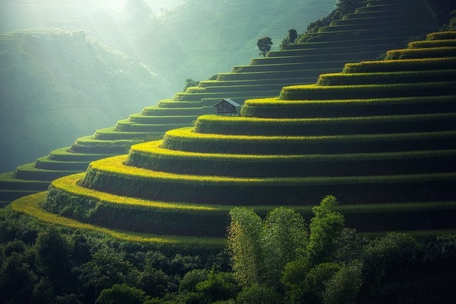 Bali Real Estate Market